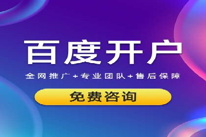 SEO策略在电商平台的成功应用案例